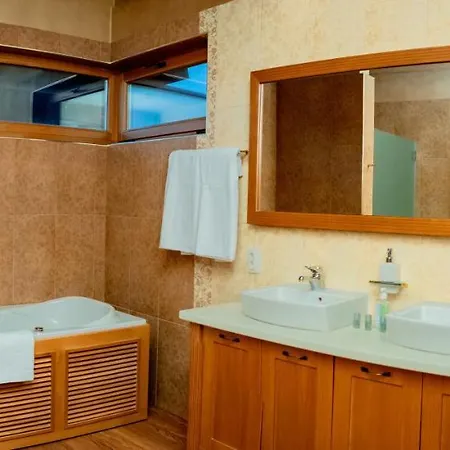 Вилла Luxury In Добриниште